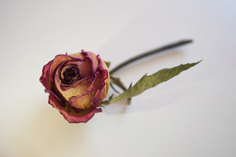 ⑤질 건조증.jpg