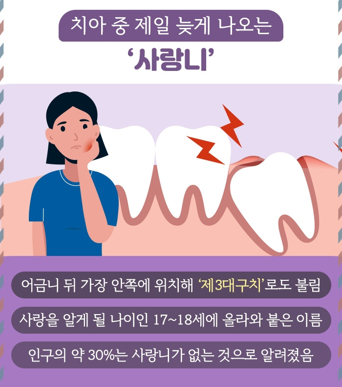 사랑니_02.jpg