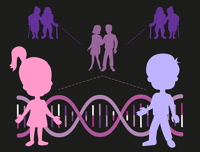 4.▶유전성 암 예측하려면.jpg