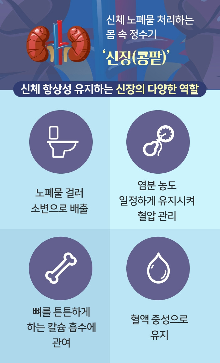 만성신부전_1.jpg