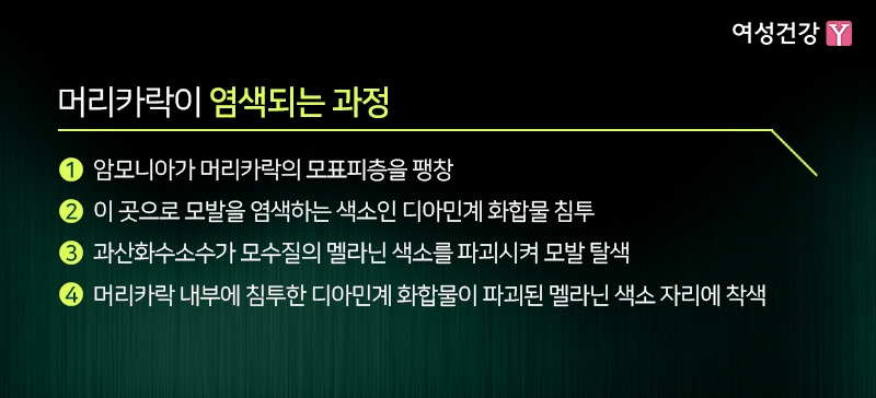 3.※머리카락이 염색되는 과정.jpg