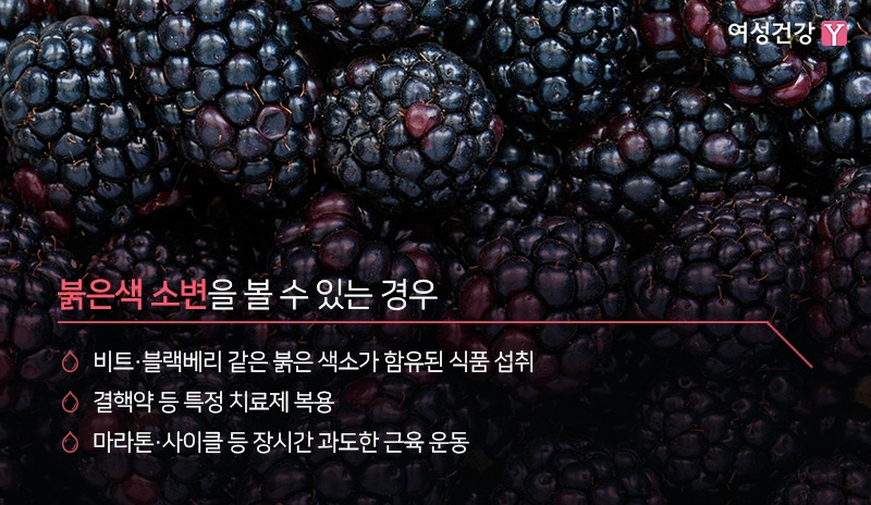 4.※붉은색 소변을 볼 수 있는 경우.jpg