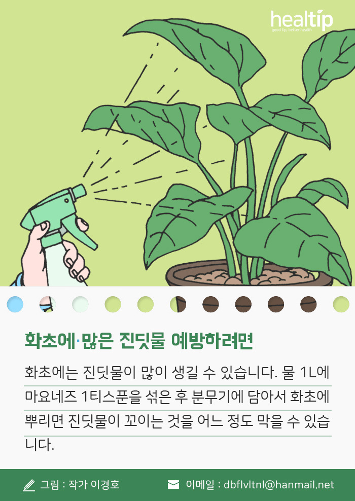 2_화초에 많은 진딧물 예방하려면_180419.jpg