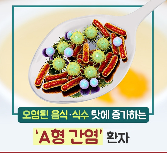 강동경희대병원245-a형 간염1.jpg