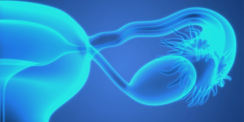 2.▶젊은 여성, 양성종양 ‘물혹’ 많아.jpg