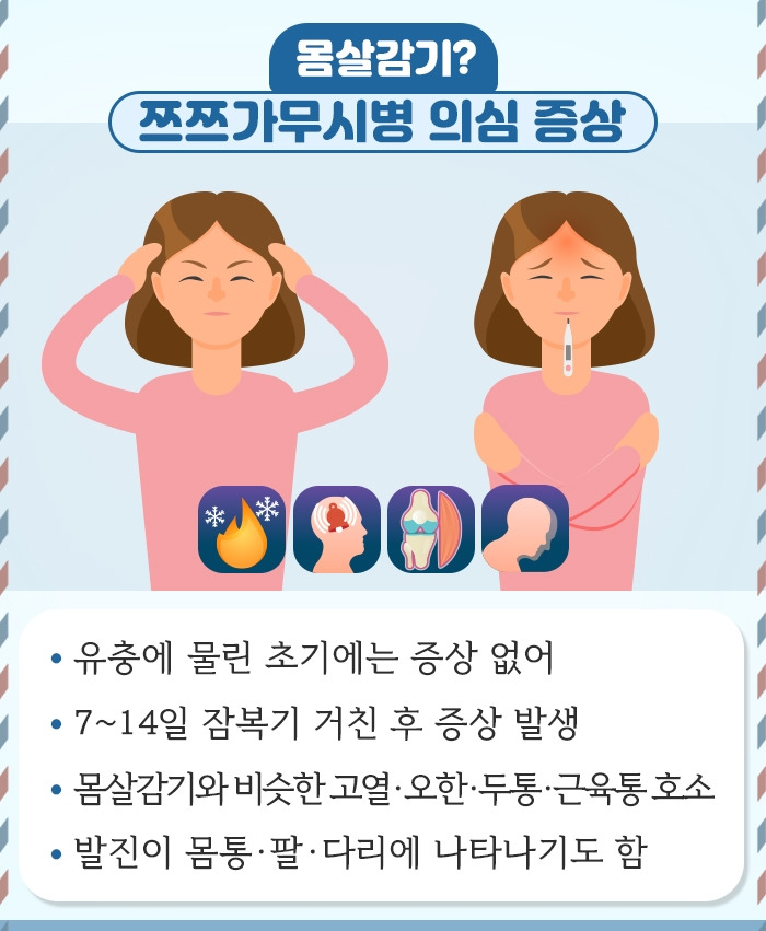 쯔쯔가무시_04.jpg
