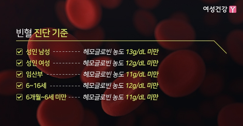 2.※빈혈 진단 기준.jpg
