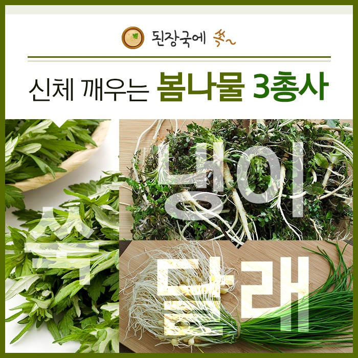 봄철 조개의 여왕 ‘백합’ 다양한 영양소와 효능_힐팁_200323.jpg