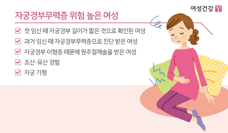 ※자궁경부무력증 위험 높은 여성.jpg