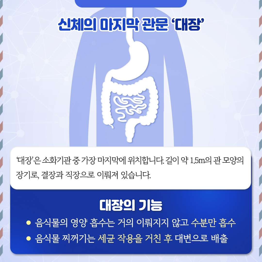 대장암_02.jpg