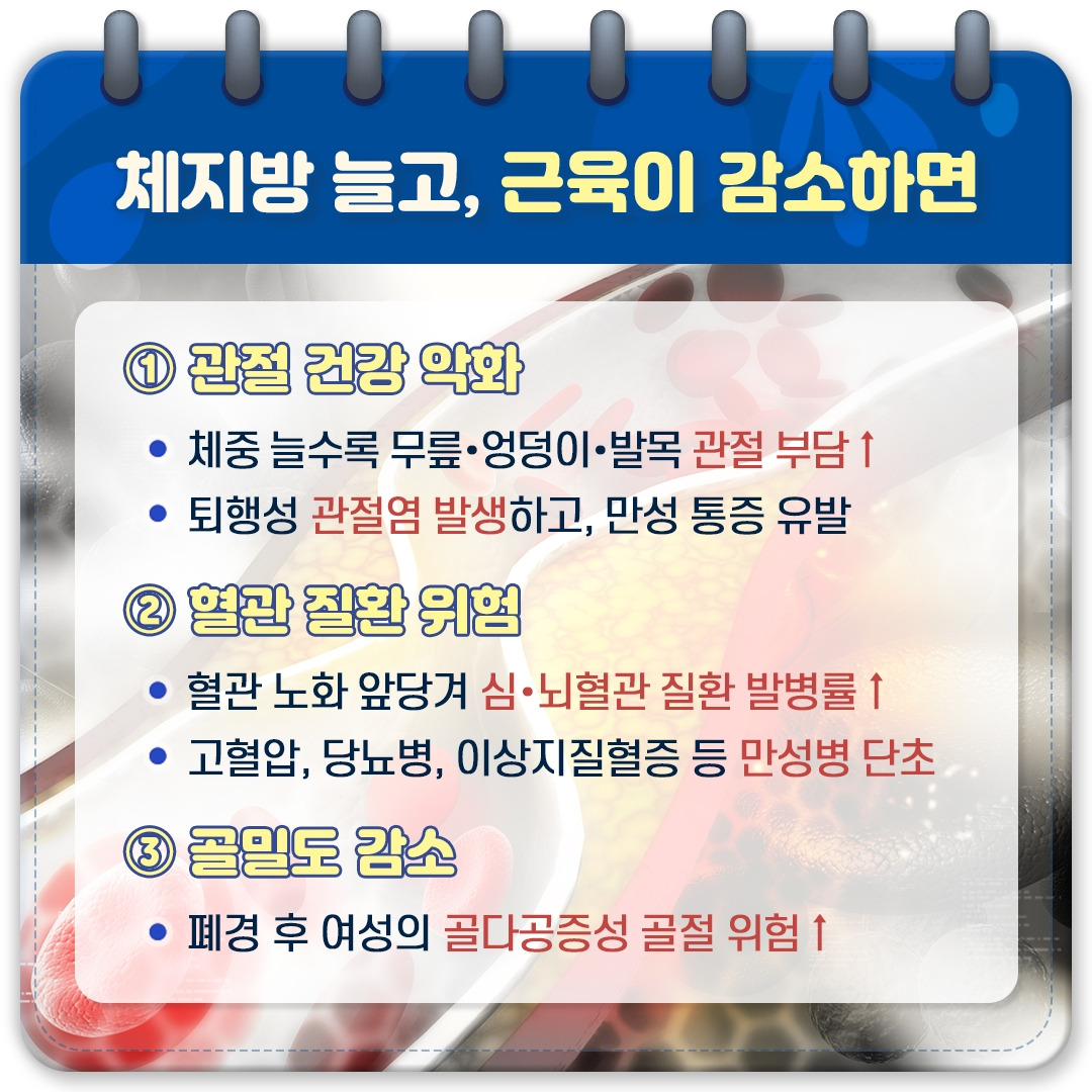 건강한 체중_03.jpg