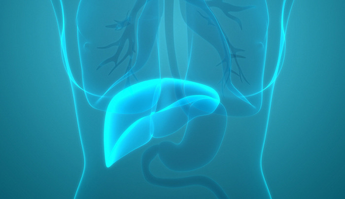 ▶임신성 고혈압에 따른 간 손상.jpg