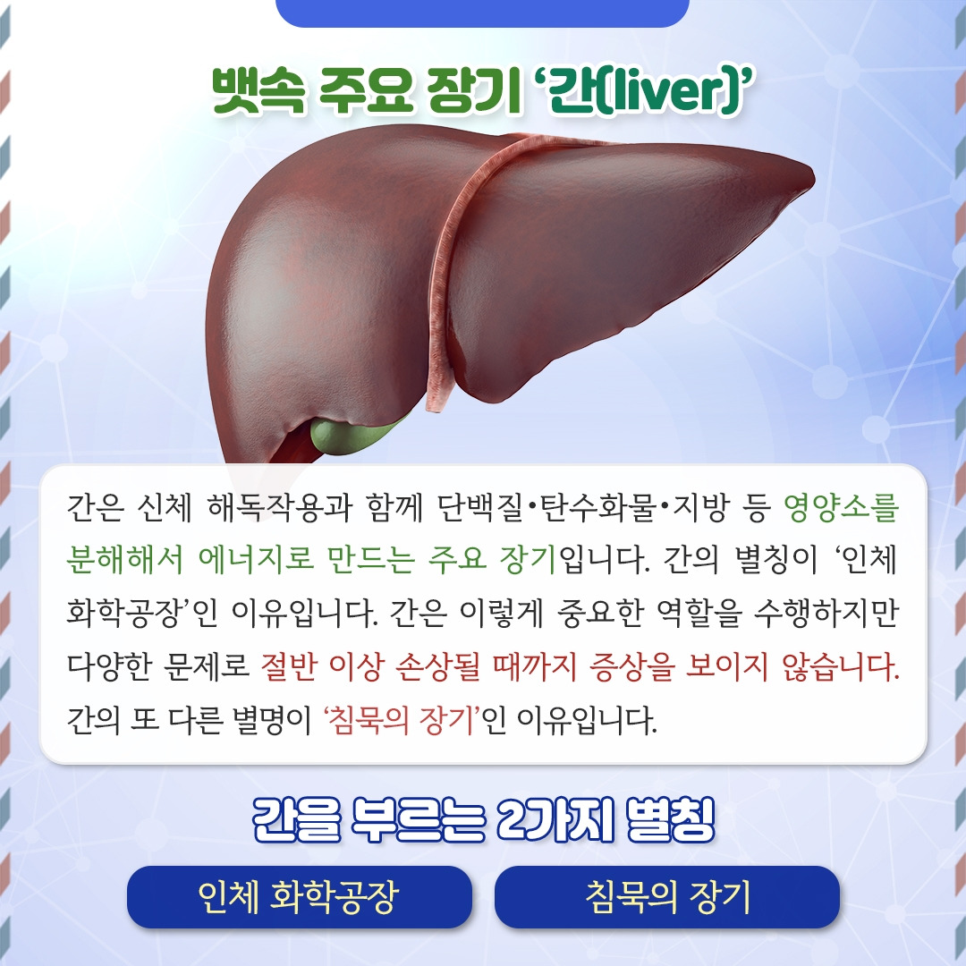 간질환_02.jpg