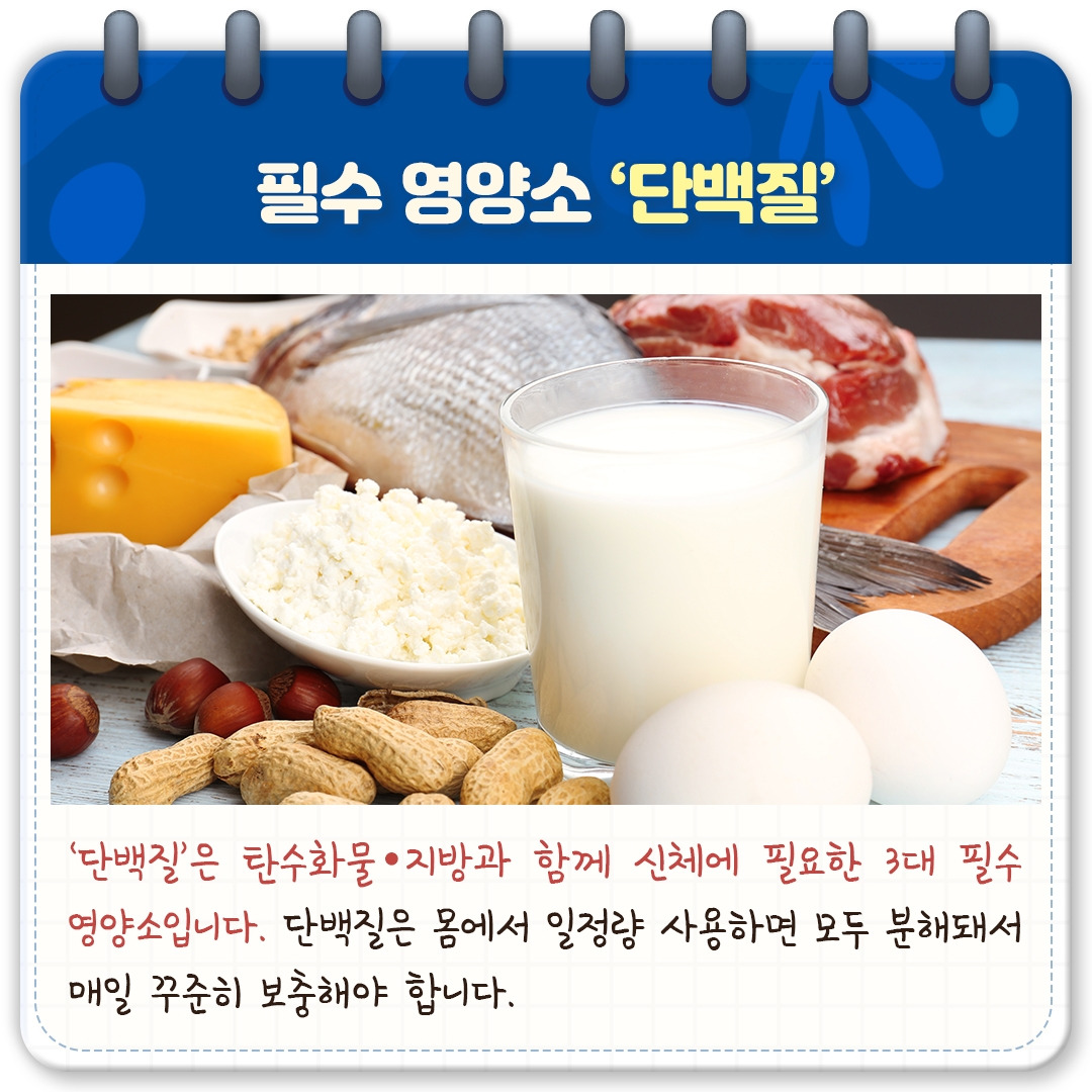 단백질 부족_02.jpg