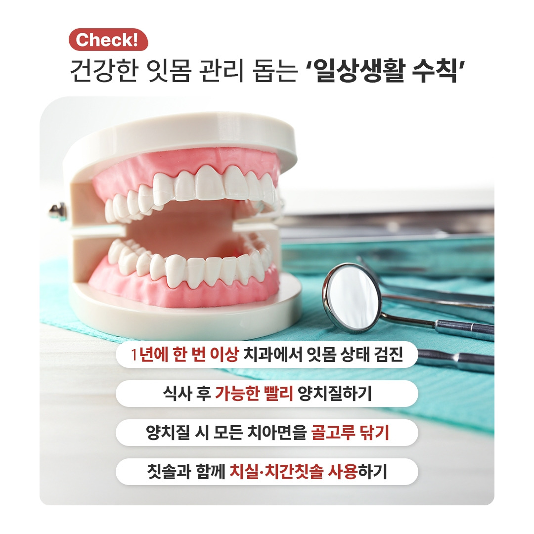 환절기잇몸병_05.jpg