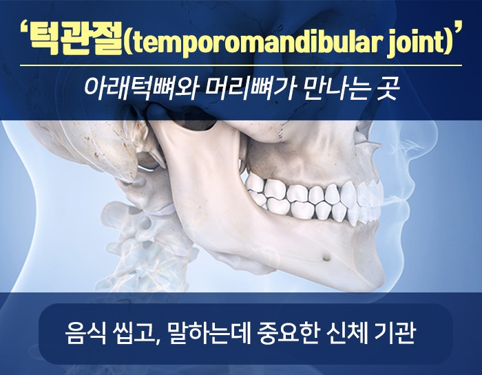 턱관절 장애_02 .jpg