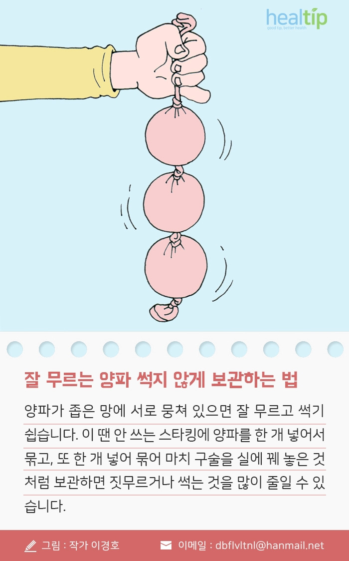 5_잘 무르는 양파 썩지 않게 보관하는 법 _180504.jpg