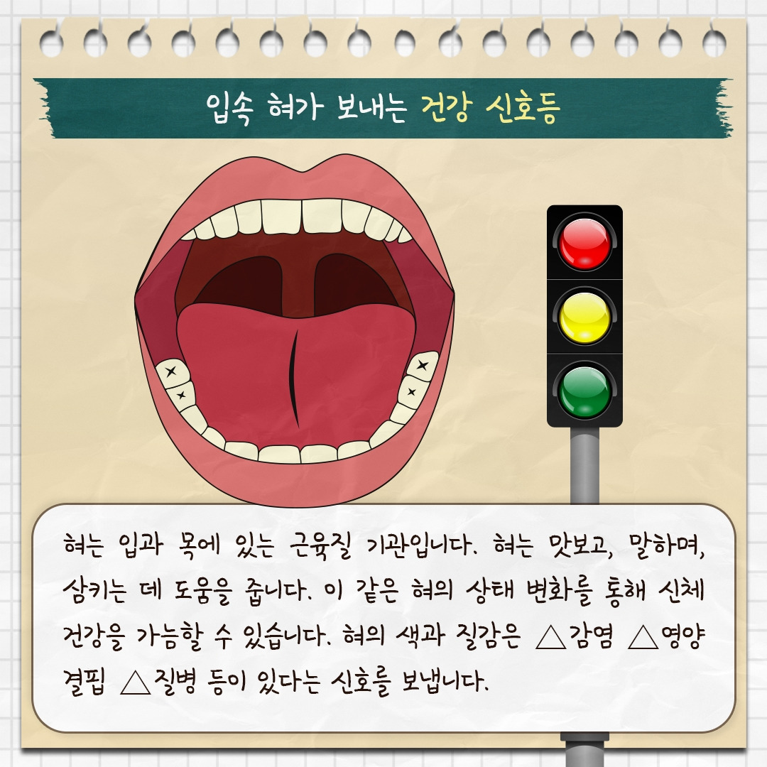 혀건강_02.jpg