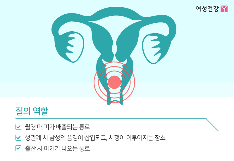 ※질의 역할.jpg