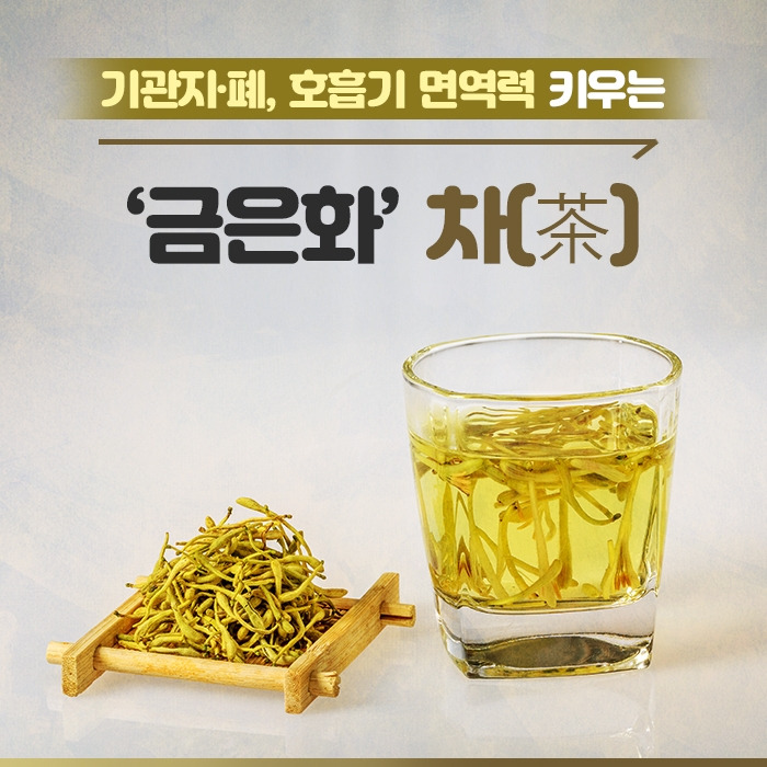 코‧기관지 막힘 개선하는 목련 꽃봉오리 ‘신이화’ 차(茶) 만들기_힐팁_200220.jpg