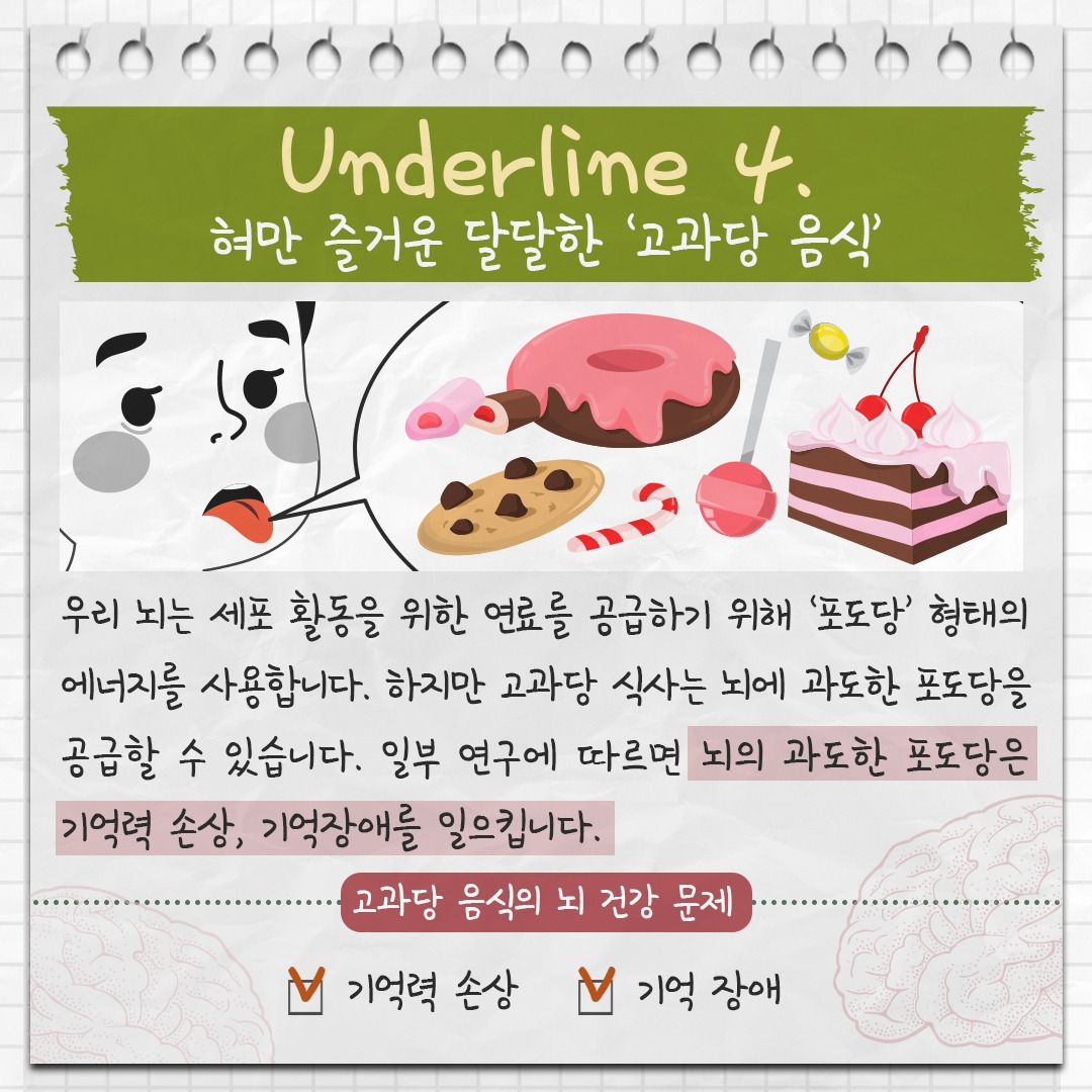 뇌 건강 음식 5 .jpg