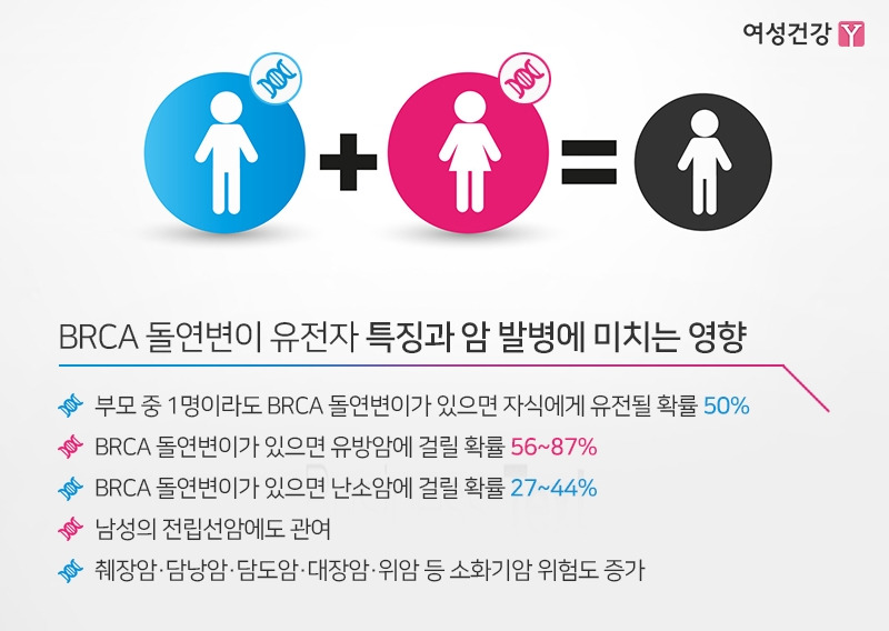 3.※BRCA 돌연변이 유전자 특징과 암 발병에 미치는 영향.jpg