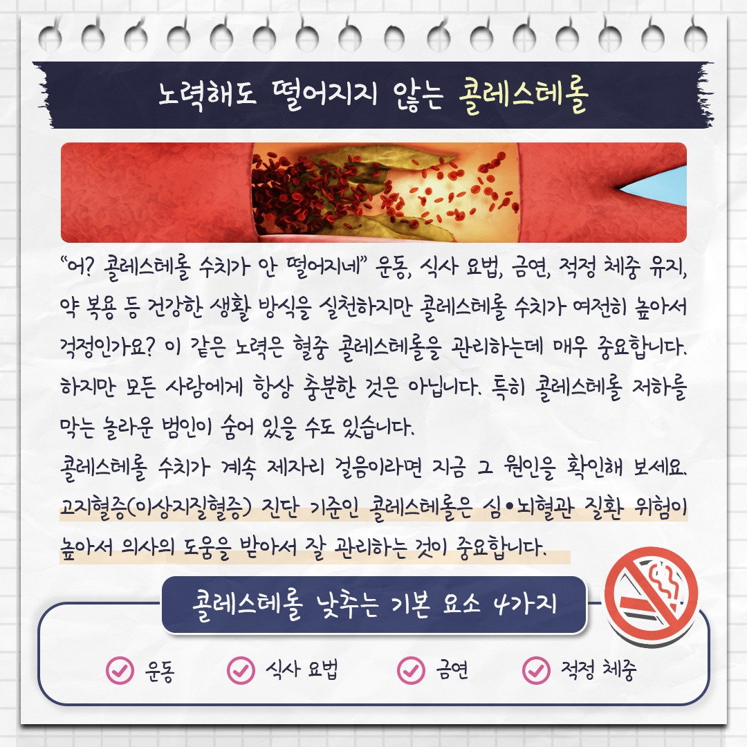 콜레스테롤_02 .jpg