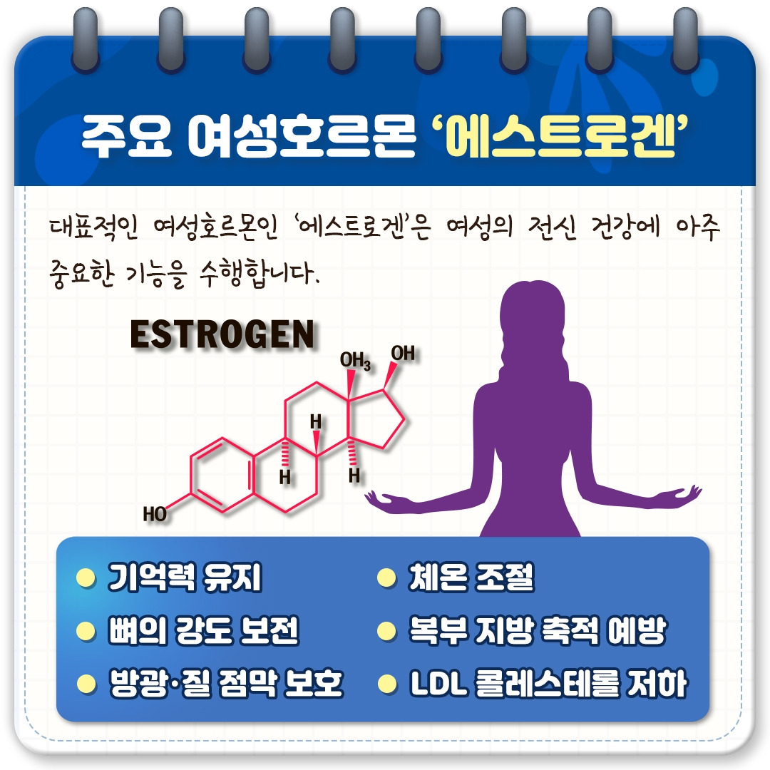 갱년기 우울장애_02.jpg