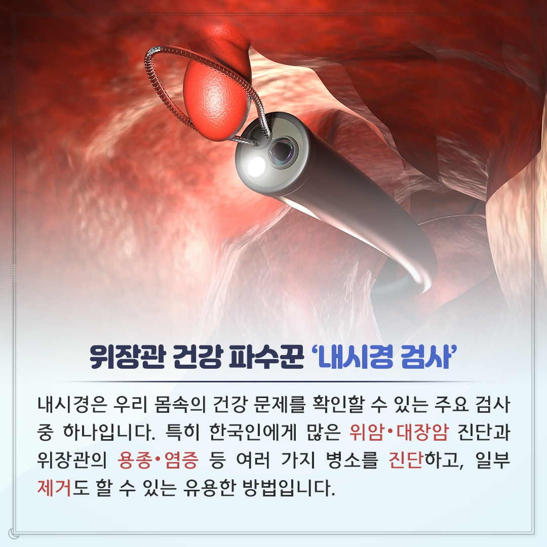 내시경검사_02.jpg