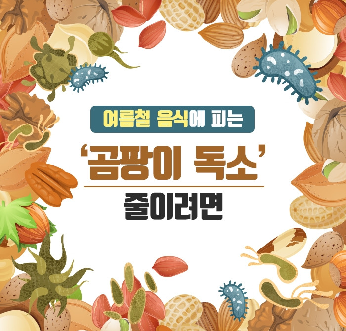 여름철 음식에 피는 ‘곰팡이 독소’ 줄이려면0_190628.jpg