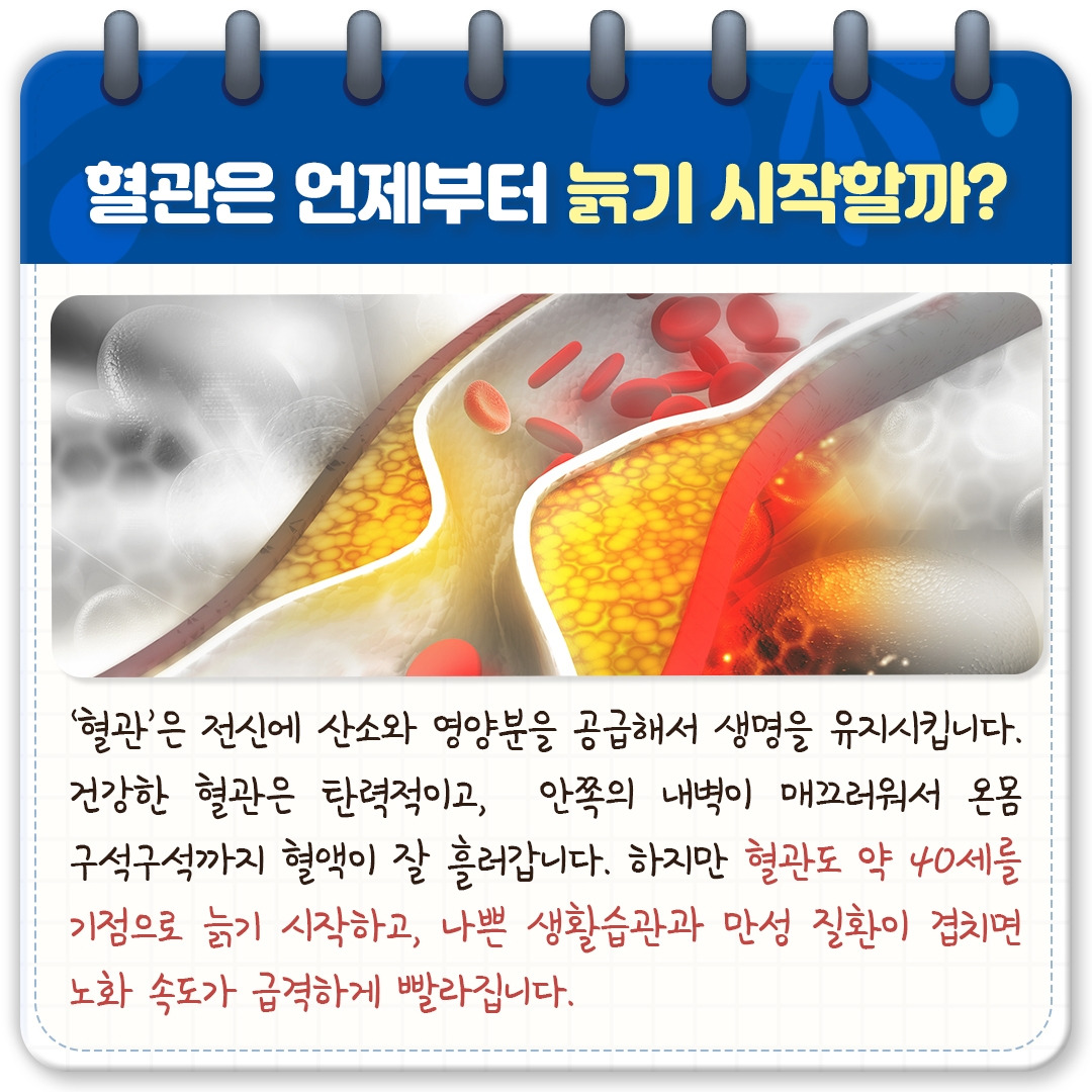 혈관 건강_02.jpg