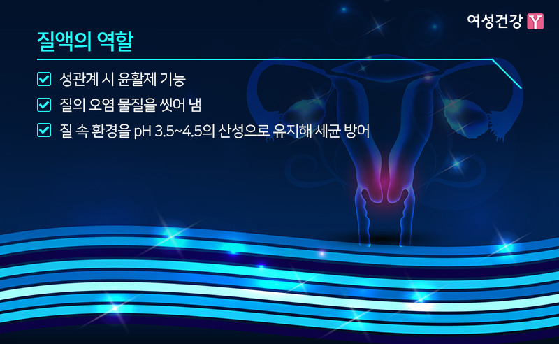 ※질액의 역할.jpg