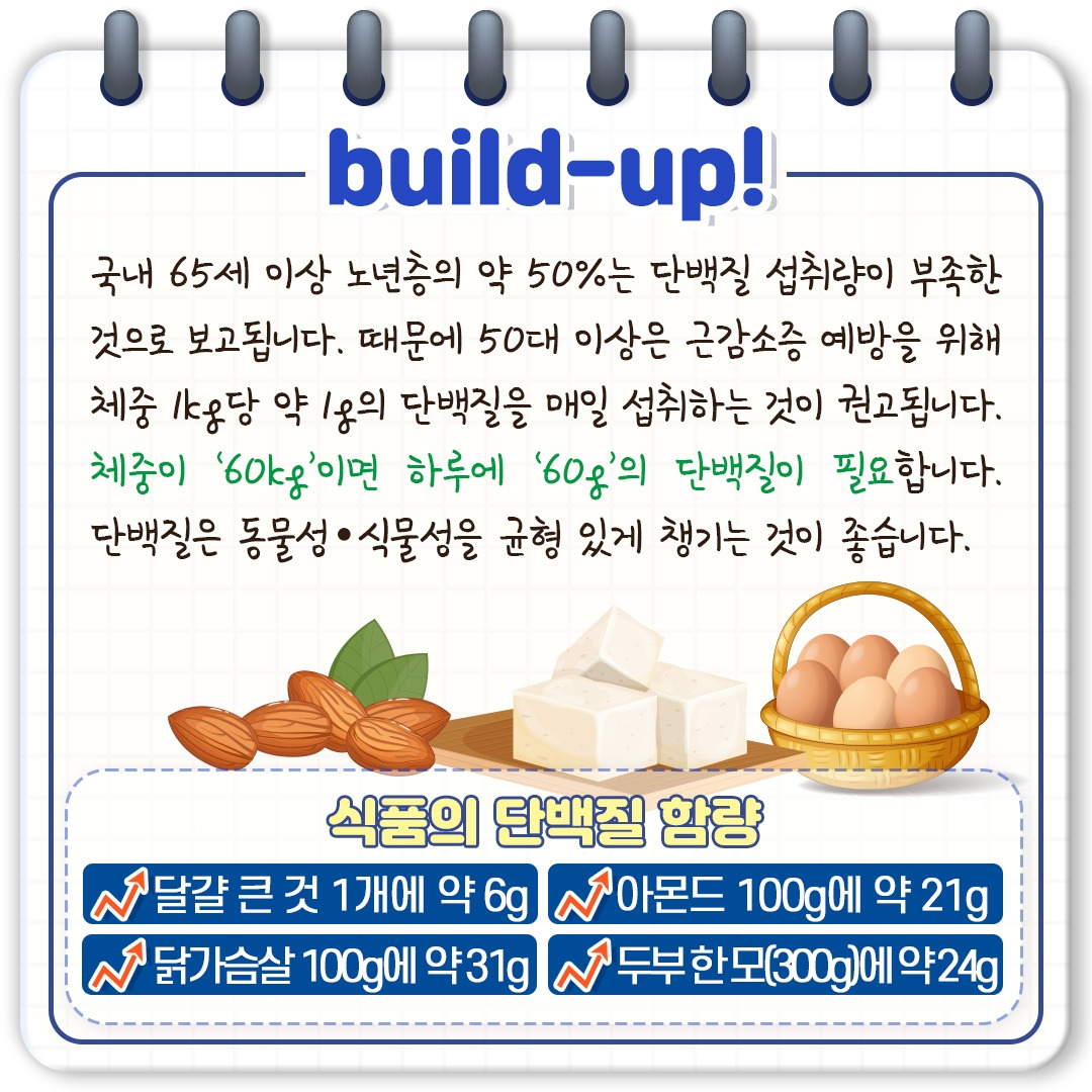 단백질 부족_06.jpg