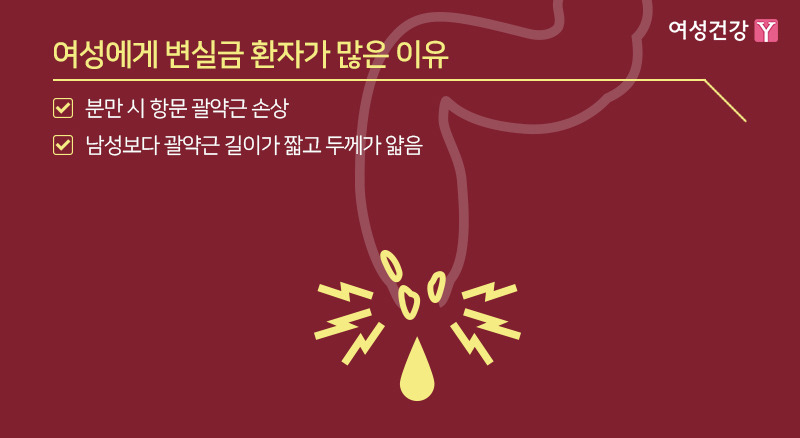 ※여성에게 변실금 환자가 많은 이유.jpg