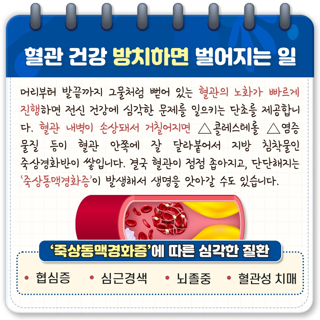 혈관 건강_04.jpg