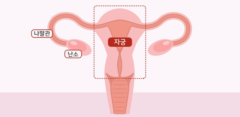 2.▶아기집 ‘자궁’.jpg