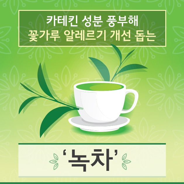카테킨 성분 풍부해 꽃가루 알레르기 개선 돕는 ‘녹차’_힐팁_200420.jpg