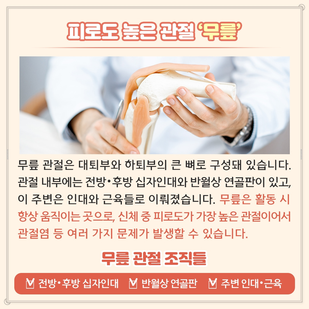 전방십자인대_02 .jpg
