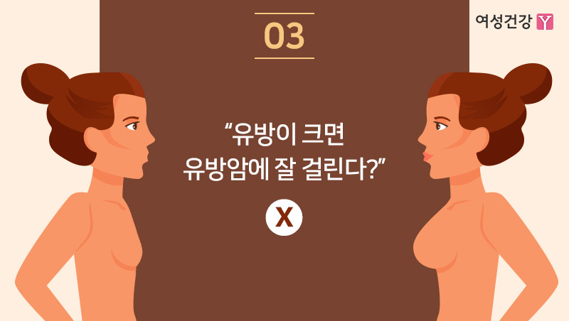 3. “유방이 크면 유방암에 잘 걸린다”.jpg