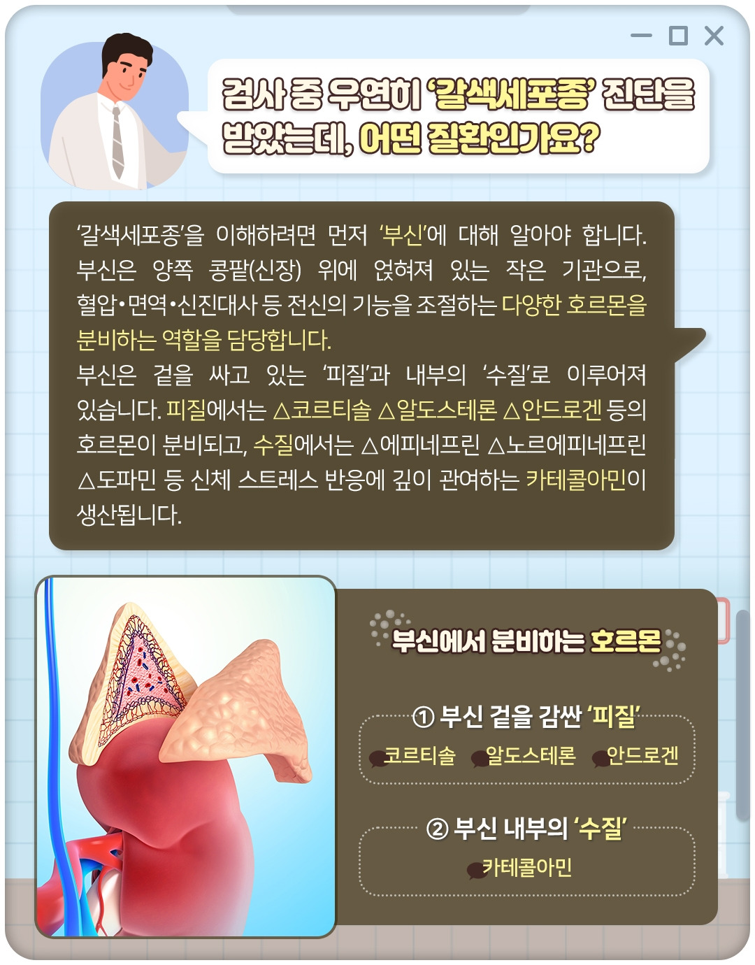 갈색세포종_02.jpg