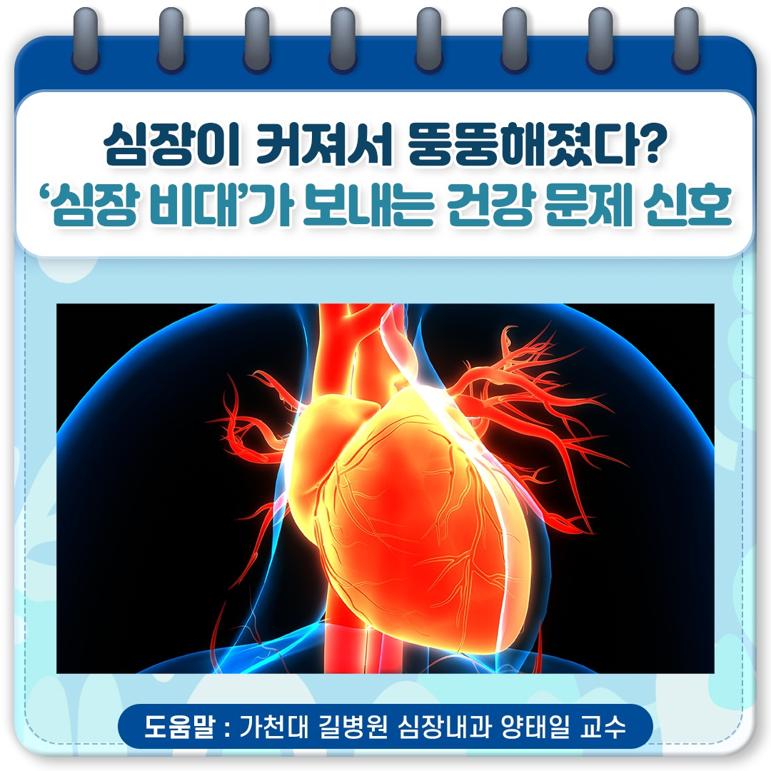 심장 비대증_01.jpg