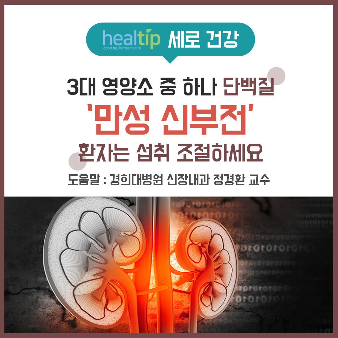 만성콩팥병 단백질1_힐팁_블로그외.jpg