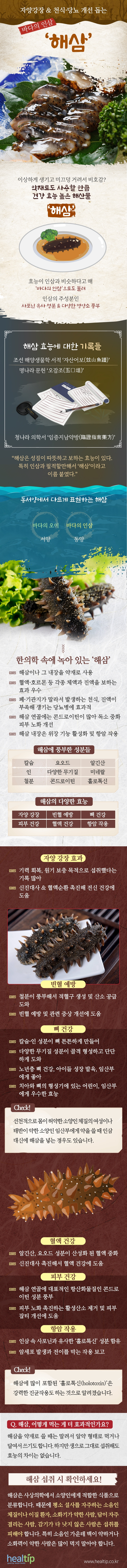 해삼_힐팁_221122.jpg