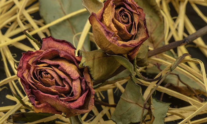 8.▶질 건조증.jpg