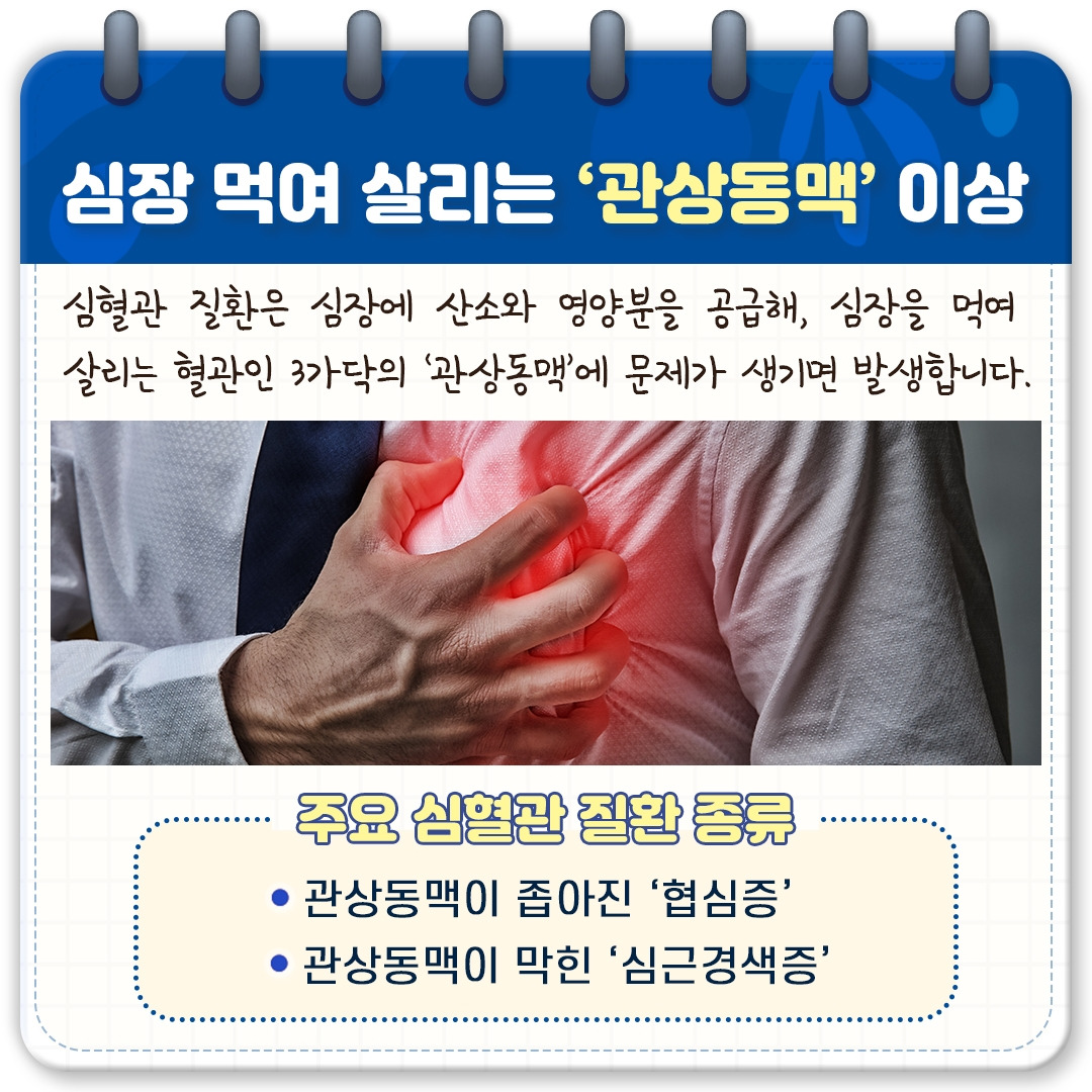 심혈관 질환_03.jpg