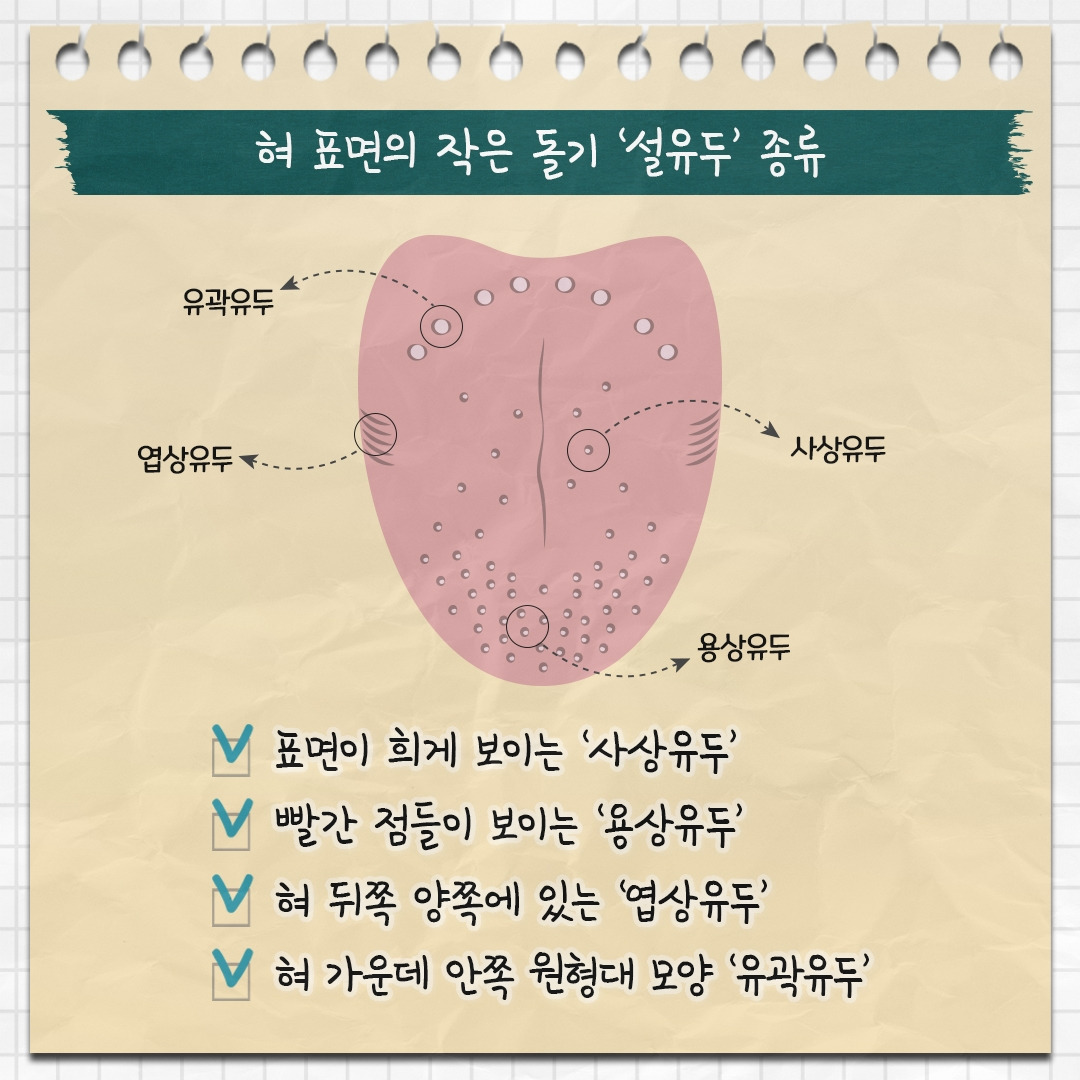 혀건강_03-2.jpg