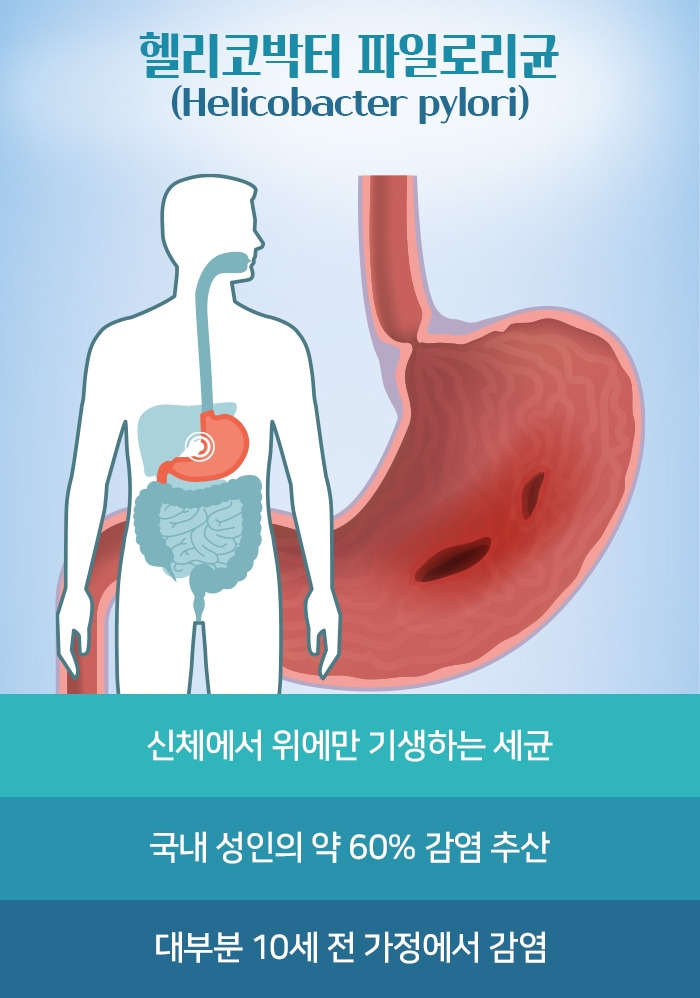 위암 헬리코박터_2.jpg
