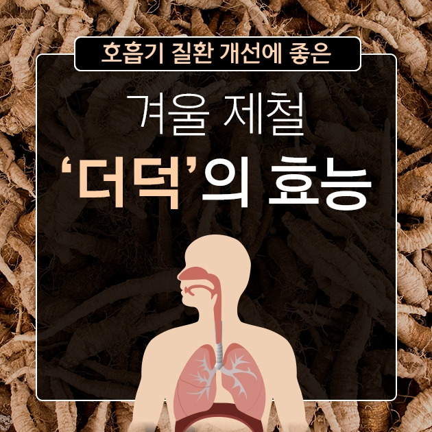호흡기 질환 개선에 좋은 겨울 제철 ‘더덕’의 효능_c_힐팁.jpg