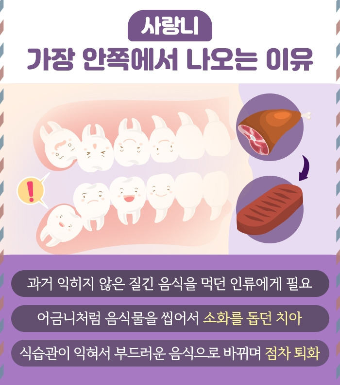 사랑니_03.jpg
