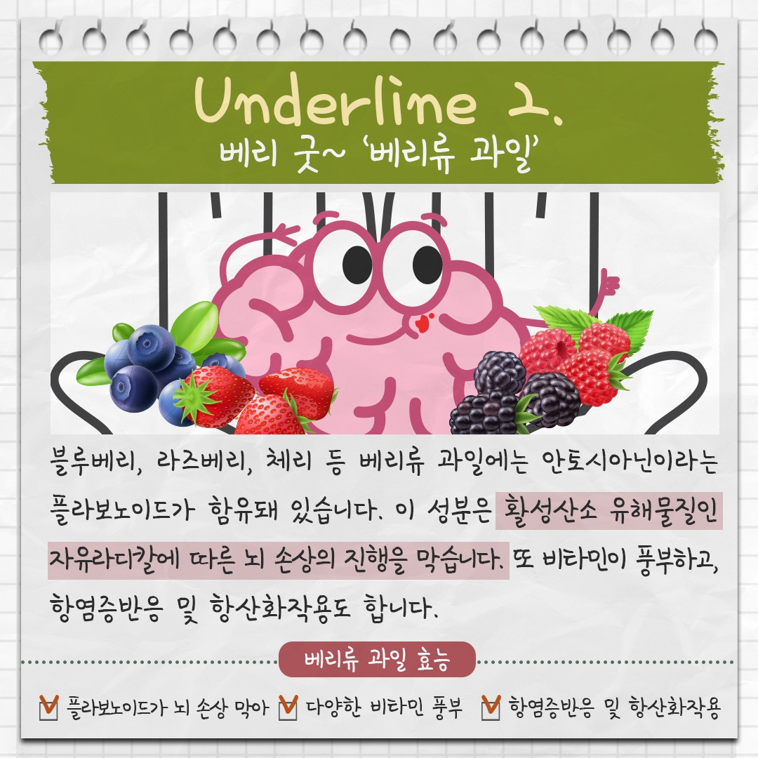 뇌 건강 음식 3 .jpg